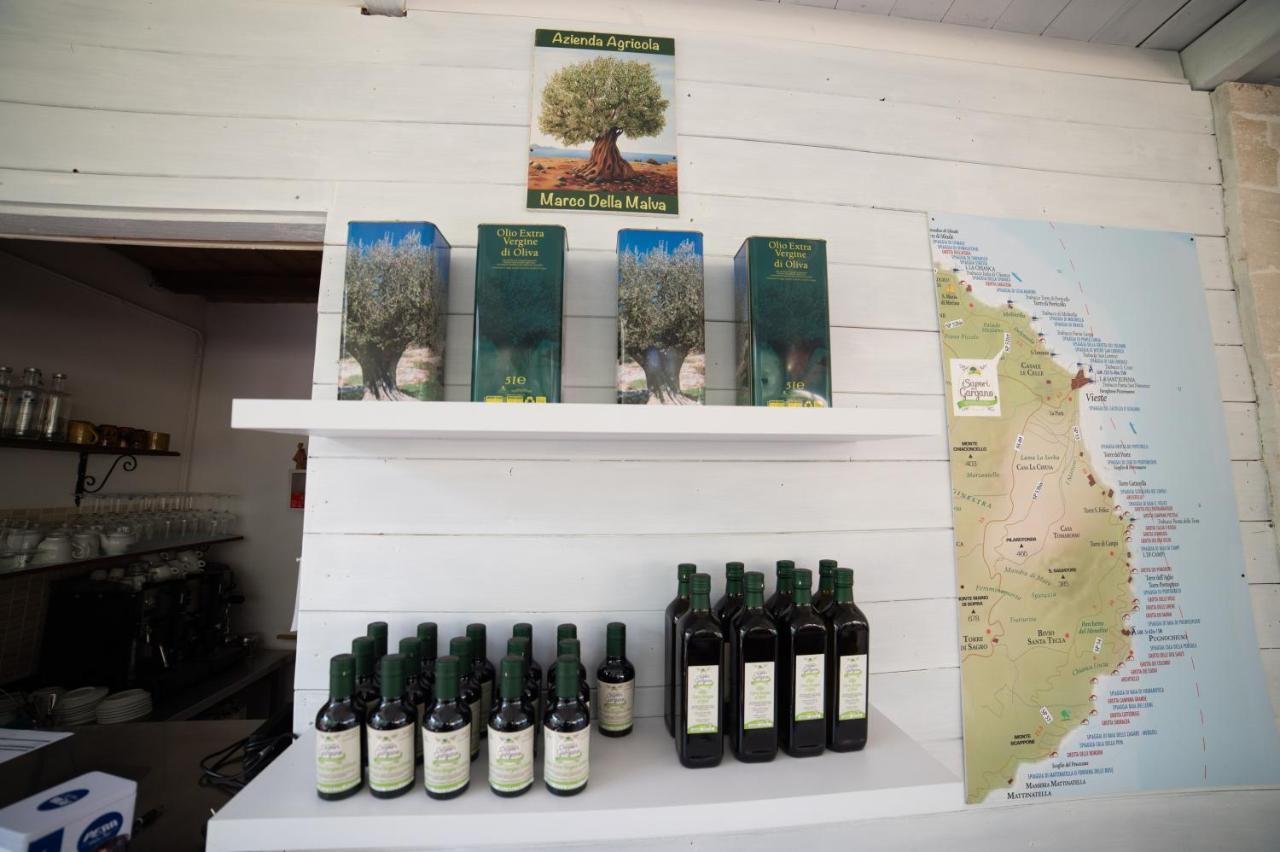 I Sapori Del Gargano Guest House Vieste Luaran gambar