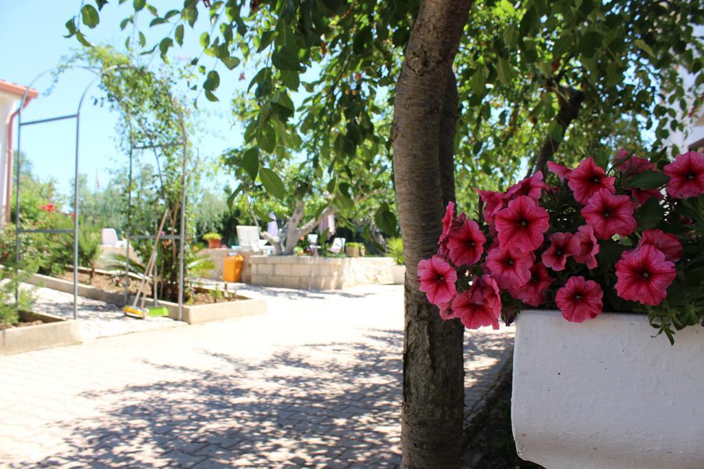 I Sapori Del Gargano Guest House Vieste Luaran gambar